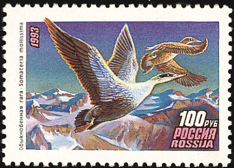 Почтовая марка России, 1993\n\n- В романе «
