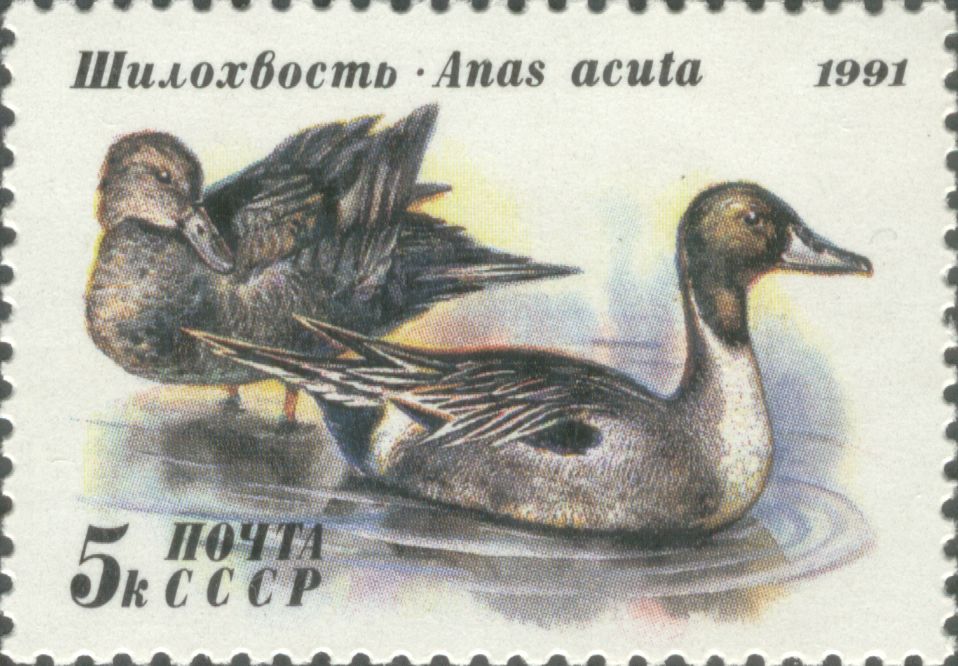 Почтовая марка, 1991 год. СССР\n\n