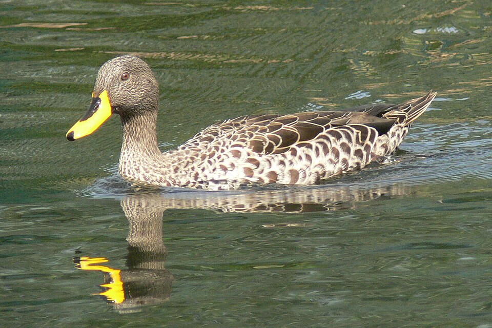 \n\n-\n\n