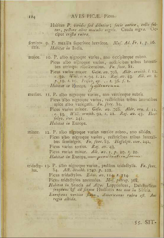 Systema naturae Linnaeus 114.jpg