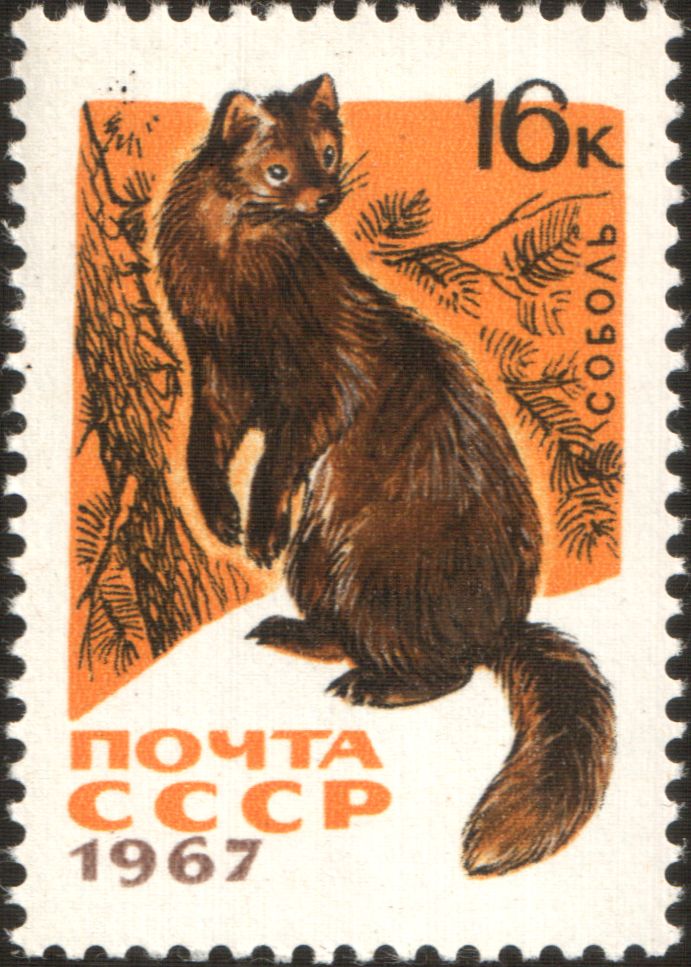 \n Почтовая марка СССР, 1967 год\n\n-\n