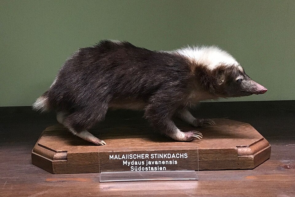 \n Чучело