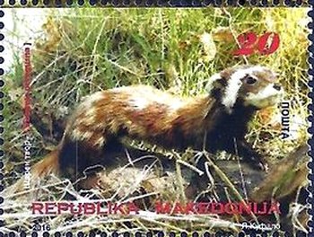 \n Перевязка на почтовой марке