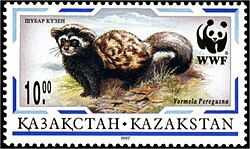 Перевязка на почтовой марке Казахстана