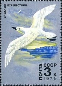 Почтовая марка СССР\n\n
